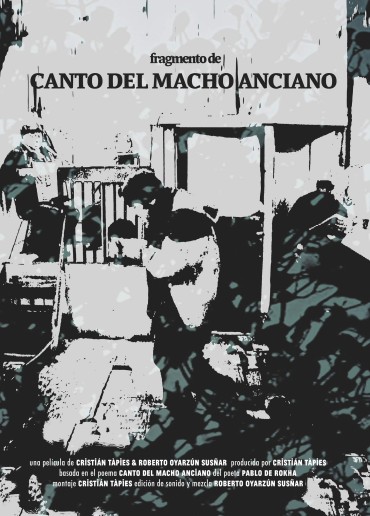 Canto del macho anciano