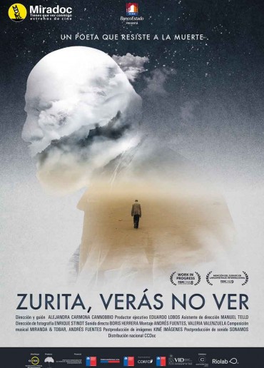 Zurita, verás no ver