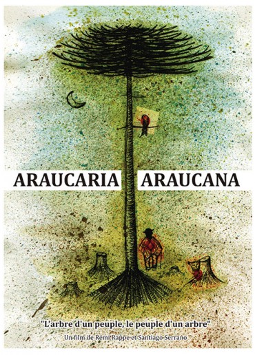 Araucaria Araucana