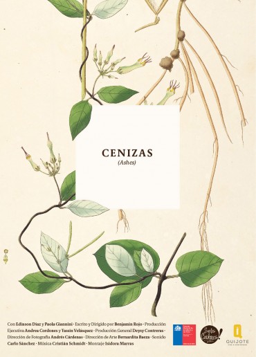 Cenizas