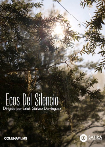 Ecos del silencio