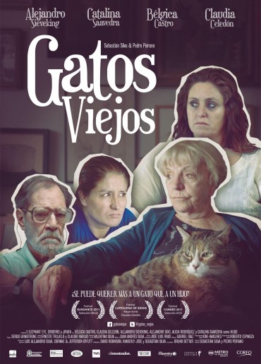 Gatos viejos