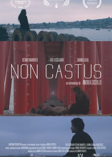 Non castus
