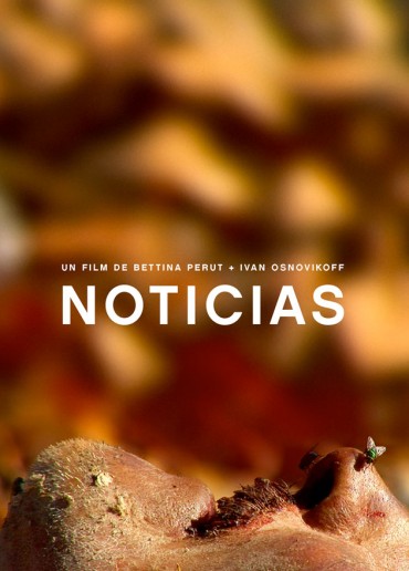 Noticias