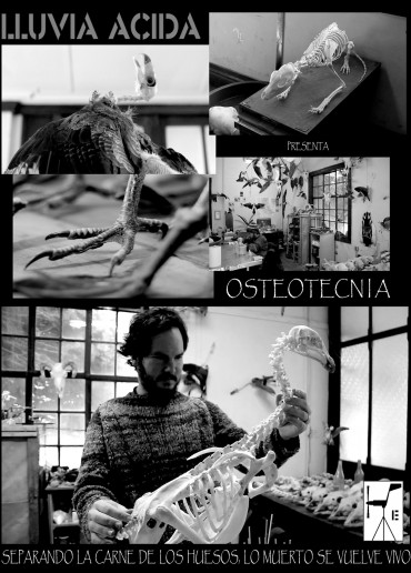 Osteotecnia