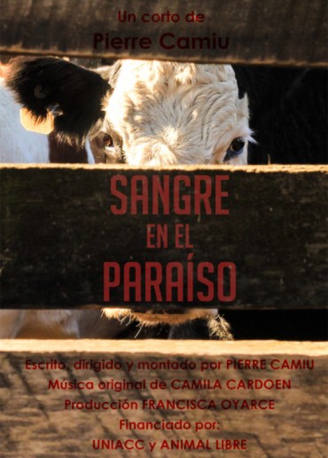 Sangre en el paraíso