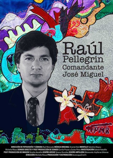 Raúl Pellegrin, Comandante José Miguel