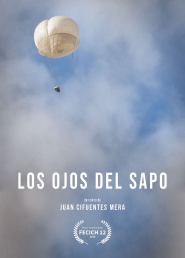 Los ojos del sapo