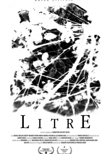 Litre