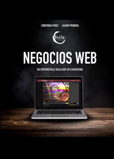 Negocios web