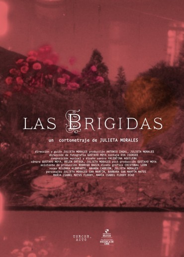 Las brígidas