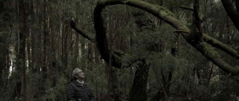 Entrevista a Christian Aylwin, co-director de «Mosca»