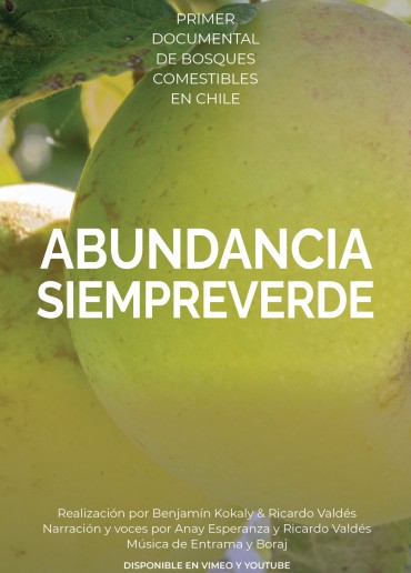 Abundancia Siempreverde