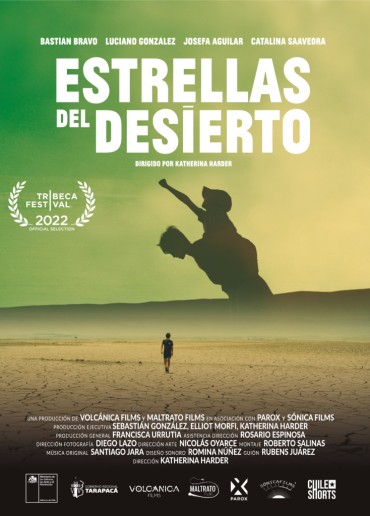 Estrellas del desierto