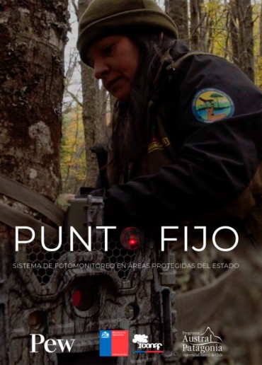 Punto fijo