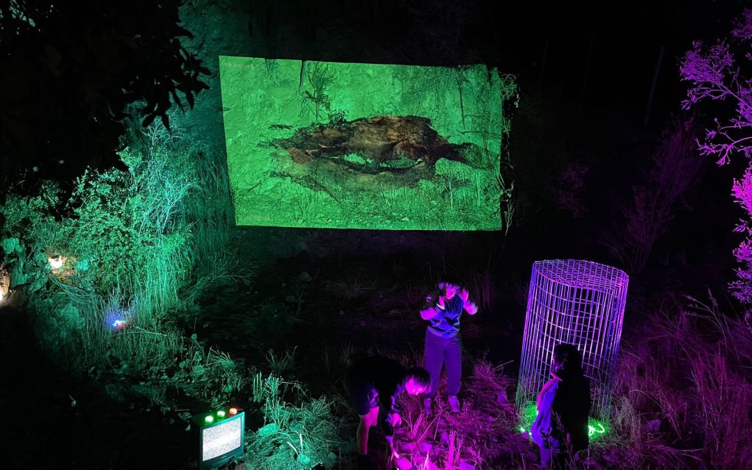 Convocatoria a laboratorio de video experimental en el valle de Colliguay abre sus postulaciones