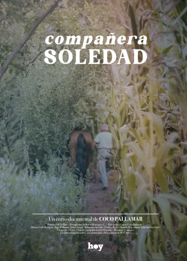 Compañera soledad