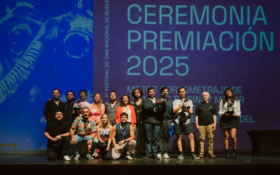 Revisa las películas ganadoras del 6º Festival de Cine Nacional de Ñuble