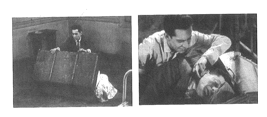 Ensayos de Anticipación en el Cine Chileno: Argumentos Sobre la Técnica