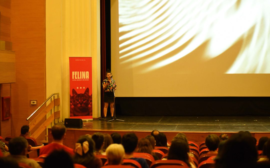 Festival Felina abre convocatoria para su 11ª edición con foco en el cine chileno contemporáneo
