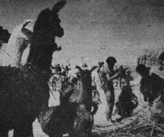 ecran5_8061948.jpg